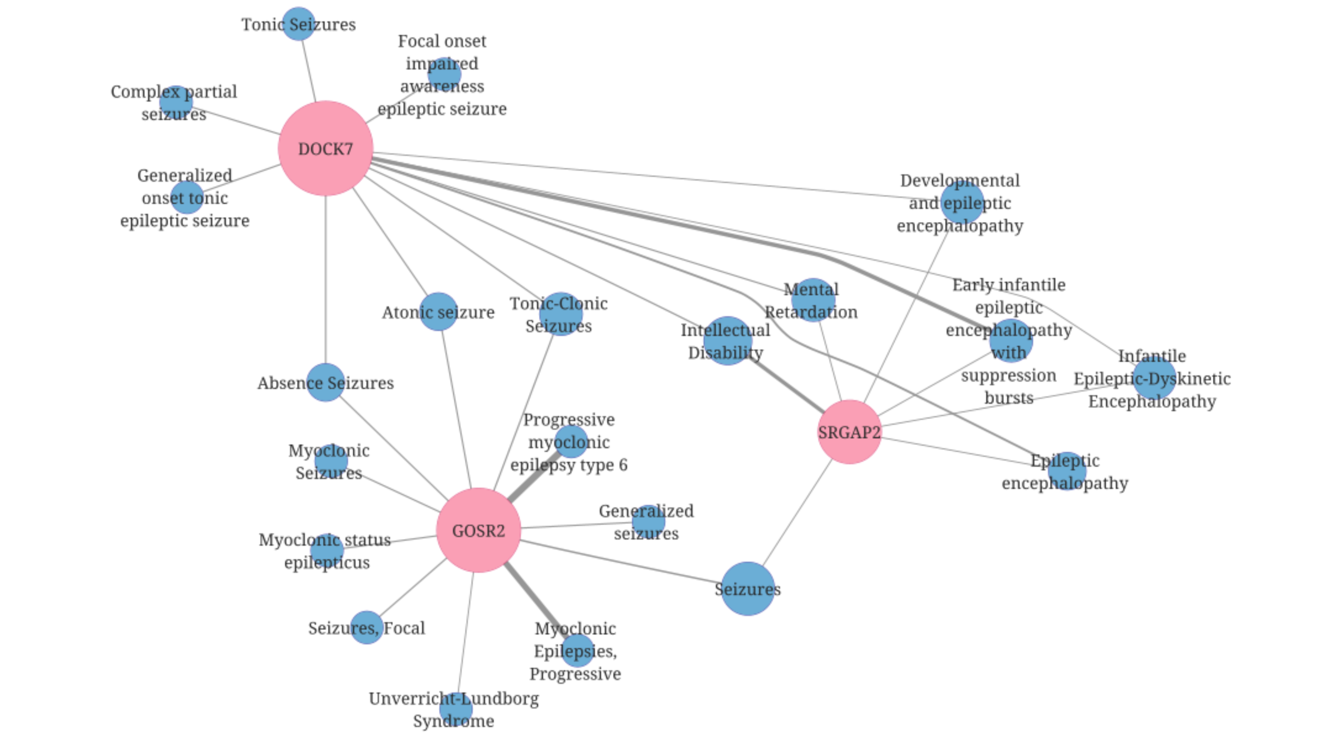 Network visualization showing genes from epilepsy panels not associated with epilepsy in DISGENET, connected to related neurological and developmental traits such as seizures, intellectual disability, and encephalopathy.