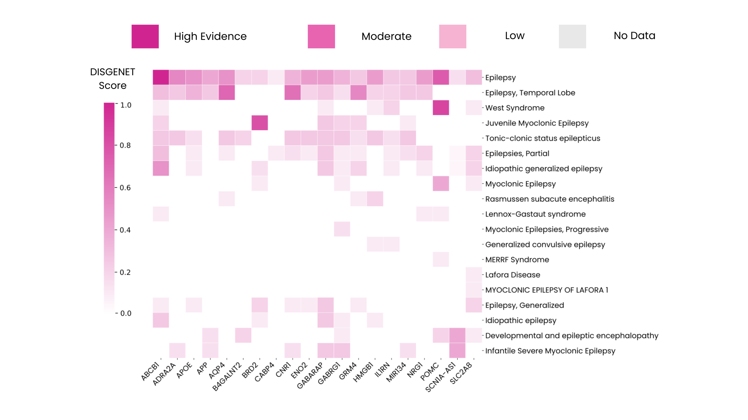 Heatmap showing the evidence strength of selected genes in epilepsy genetics across subtypes in DISGENET, highlighting high, moderate, and low evidence scores for conditions such as temporal lobe epilepsy, West syndrome, and myoclonic epilepsy.