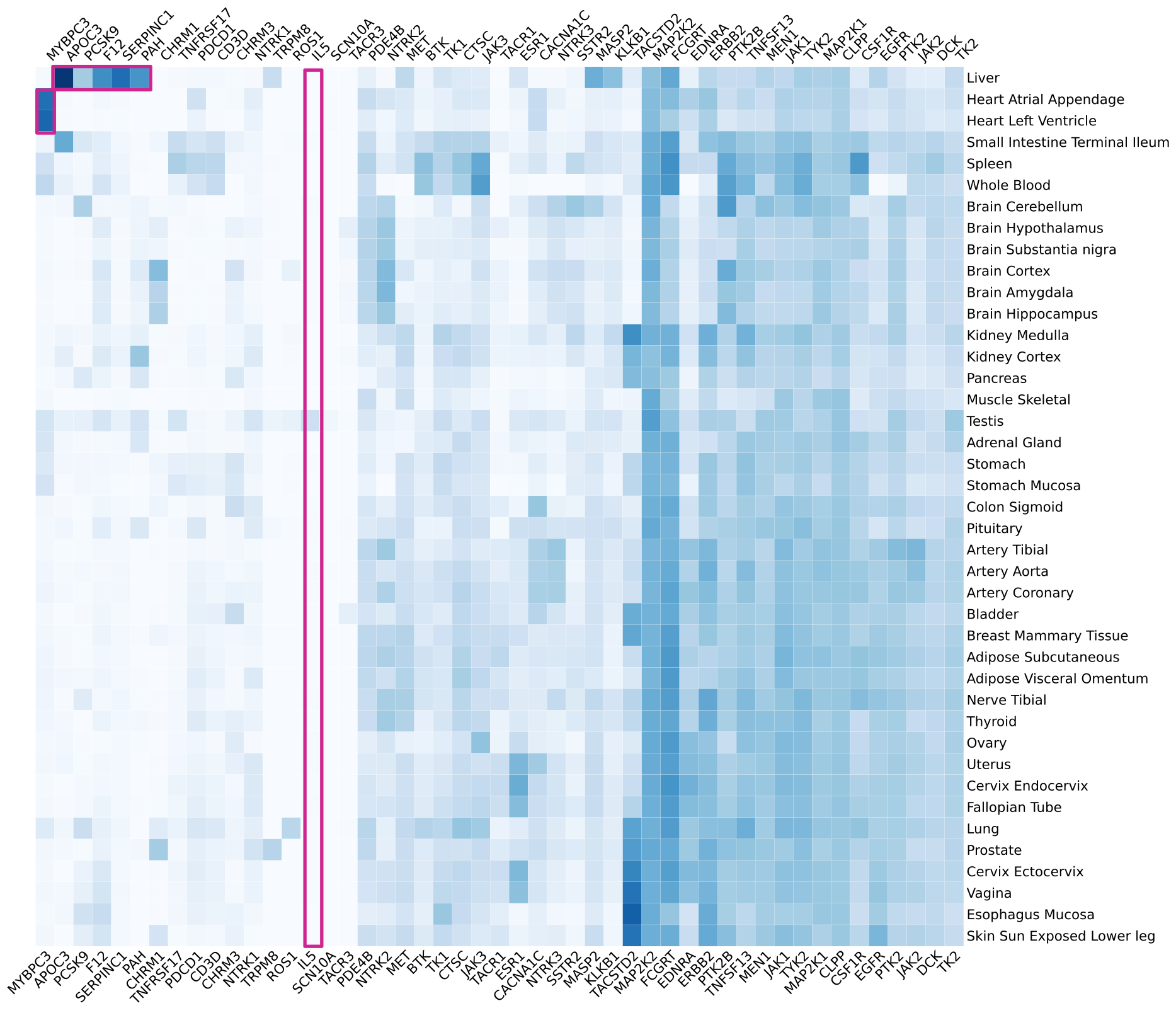 The image shows a heatmap of tissue expression profiles of targets for drugs approved in 2025.