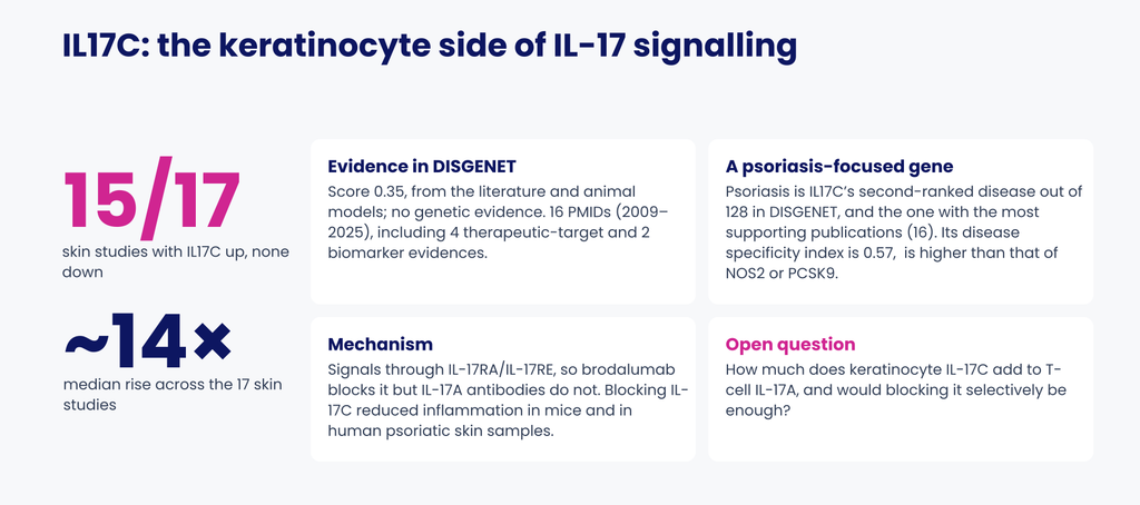 IL17C: recurrent expression in skin and a connection to an established therapeutic pathway.

