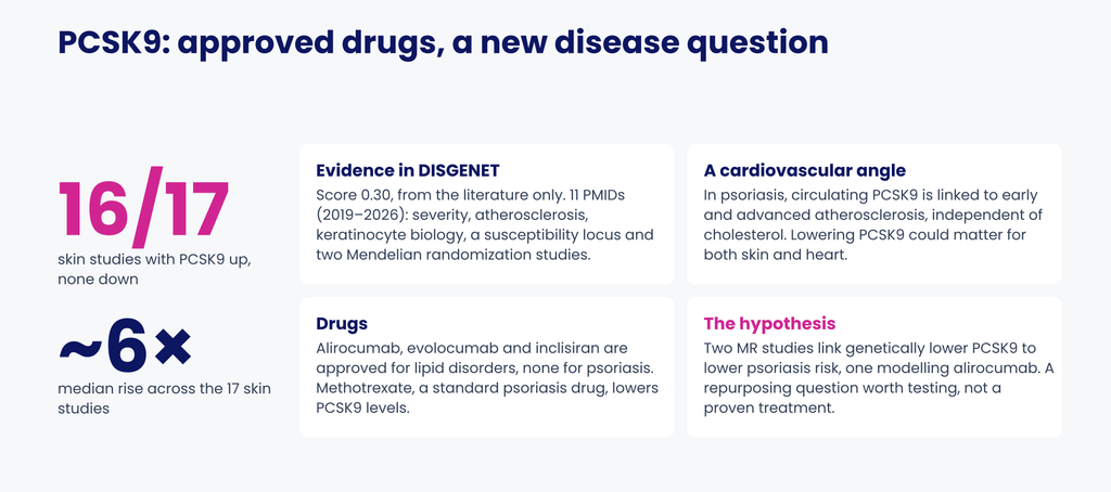 PCSK9 psoriasis evidence summary showing approximately sixfold increased expression in 16 of 17 skin studies and links to lipid metabolism and existing drugs.